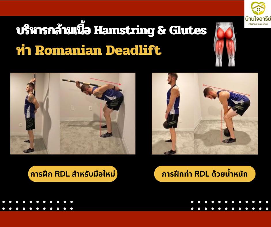 💭ทำความรู้จักกับท่า Romanian Deadlift 💪 🔷 ท่า Romanian Deadlift (RDL ...