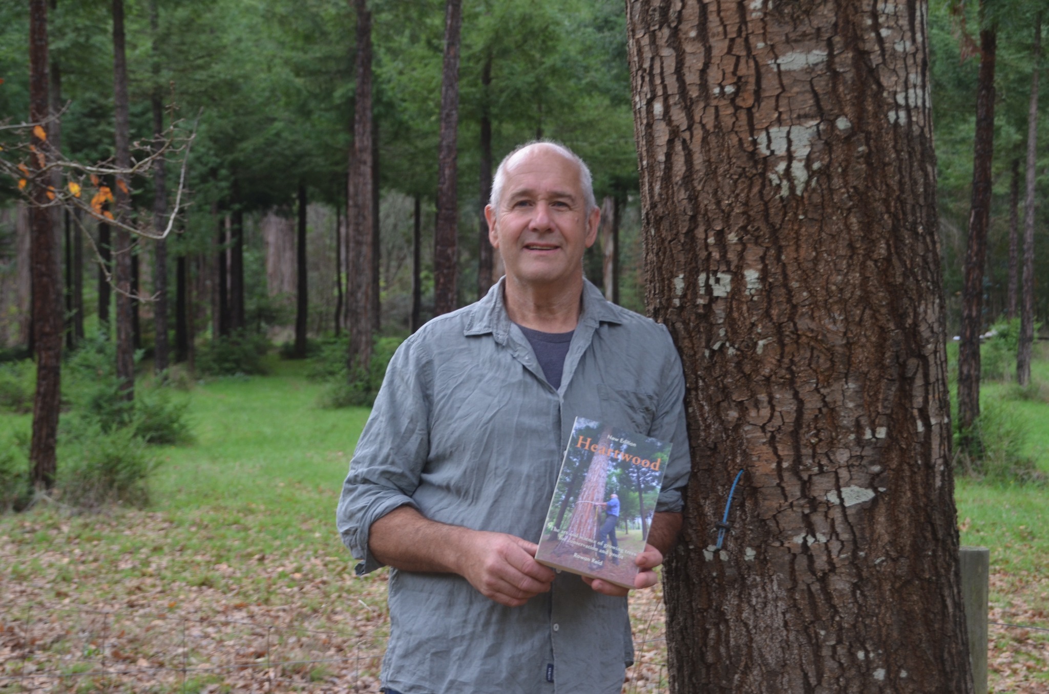 Can timber harvesting restore a... - Bambra Agroforestry Farm | Facebook