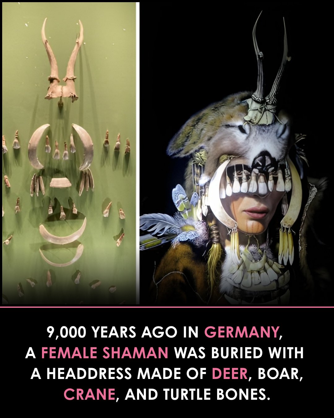 Ancient shaman remains found in Germany reveal prehistoric