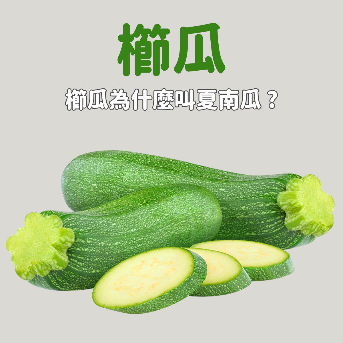 灃食公益飲食文化教育基金會 - 【櫛瓜為什麼叫夏南瓜?】 櫛瓜屬於「南瓜家族」的一員，是從南瓜變形栽種而來的瓜果，在歐美地區盛產於夏季，因此 ...