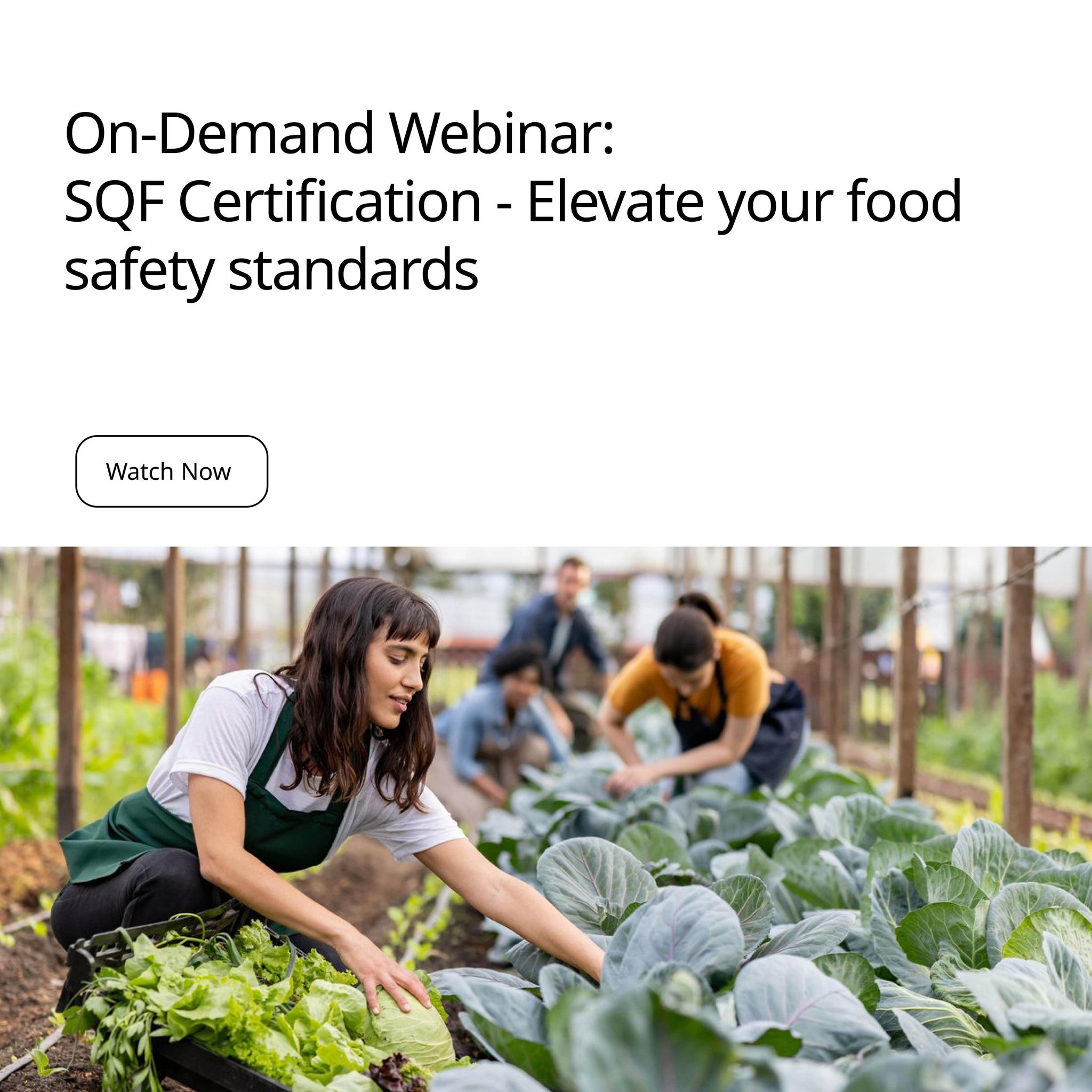 BSI Malaysia - Looking to strengthen your food safety and... | Facebook
