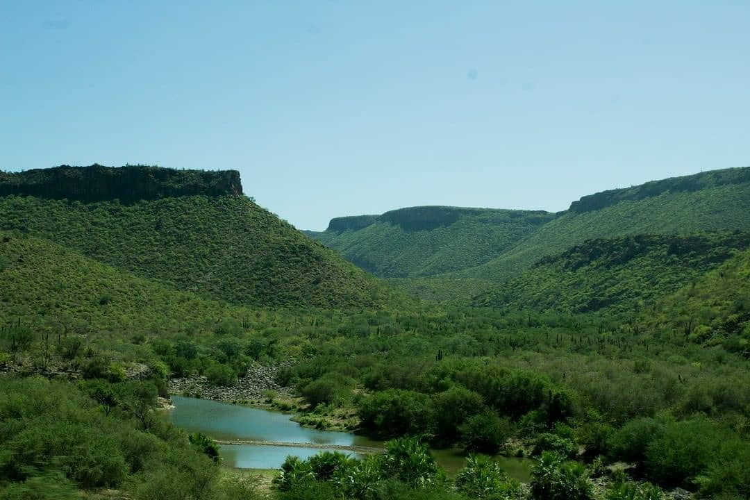 Comondú South Baja