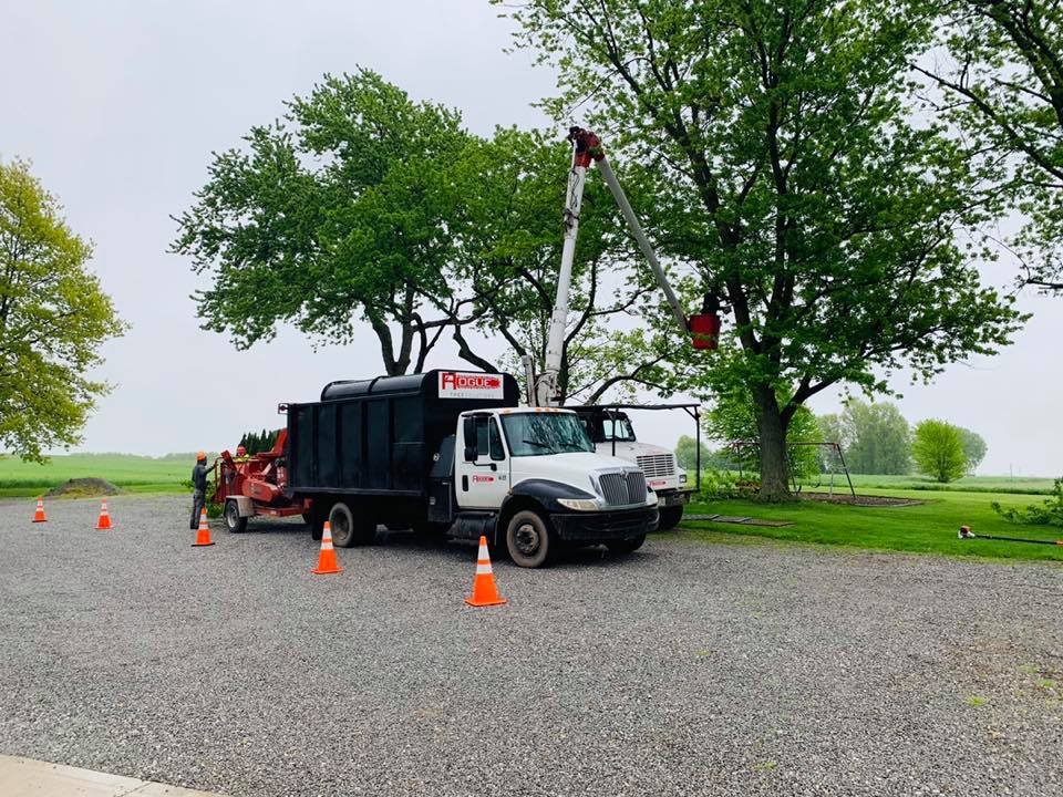 The crews hard at work doing some... - Rogue Tree Solutions | Facebook
