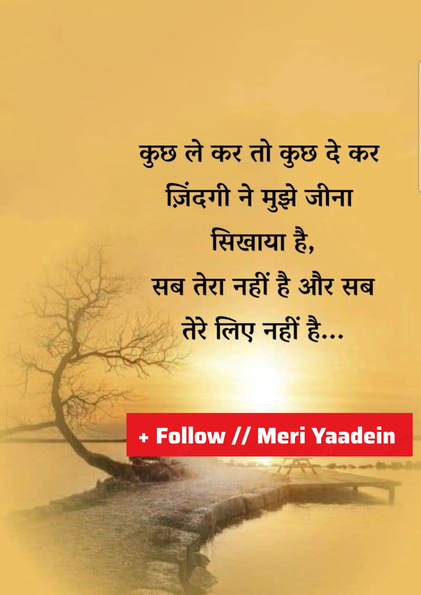Meri Yaadein - Meri Yaadein added a new photo.