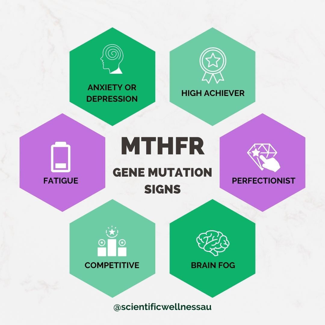 How does semaglutide affect individuals with the MTHFR gene mutation?