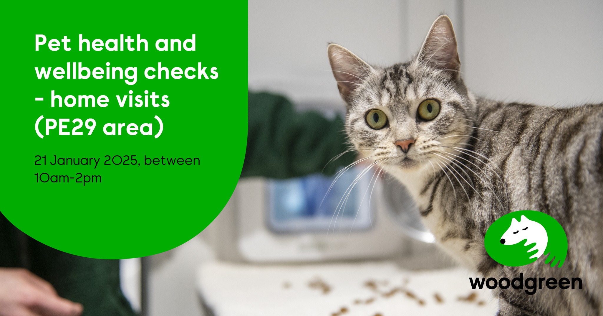 Pet health and wellbeing checks - PE29 area