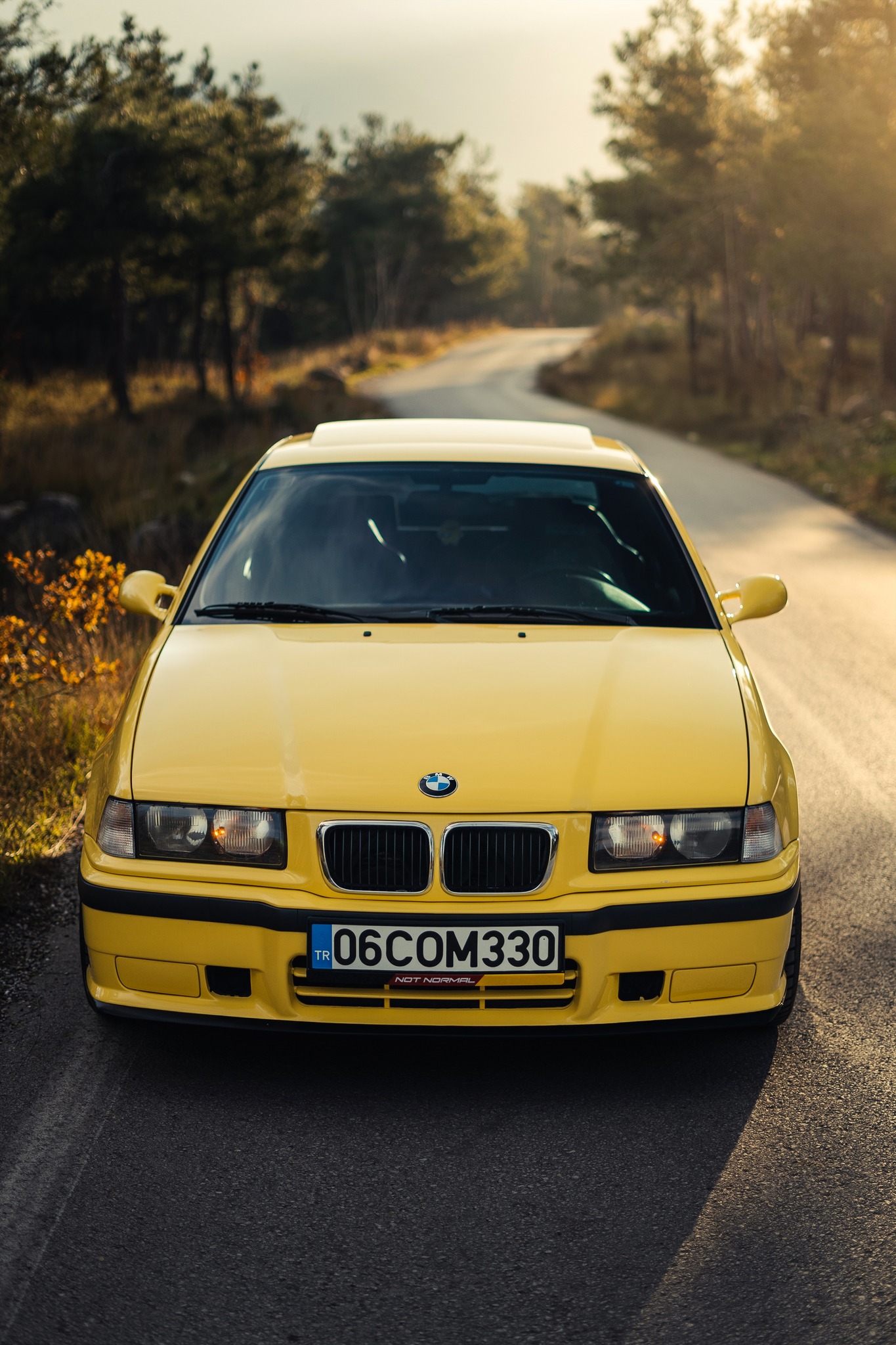 Arrowhead BMW | Glendale AZ