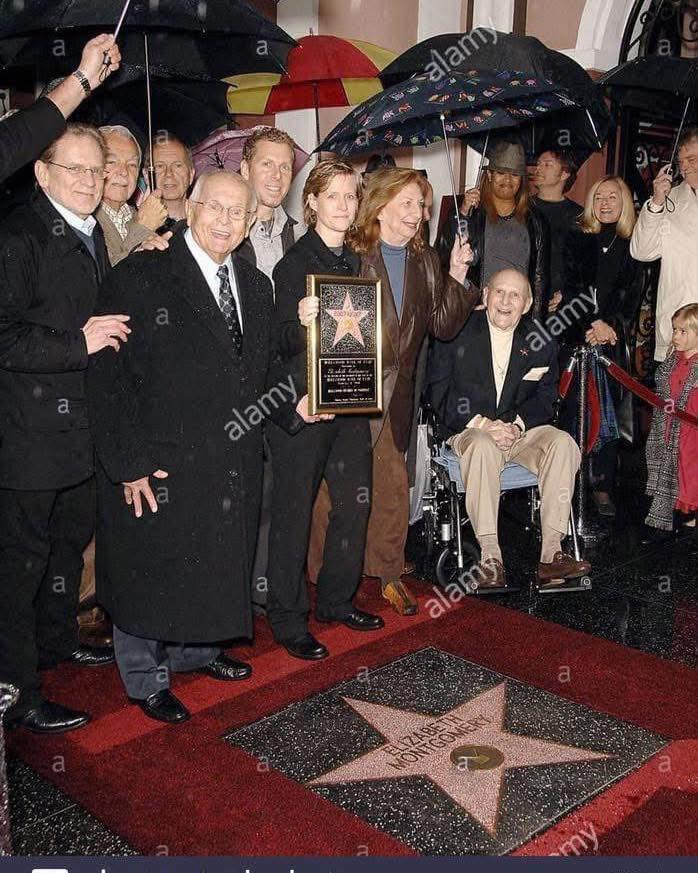The Bewitched - 18 years ago today (1/4/08) Elizabeth Montgomery ...