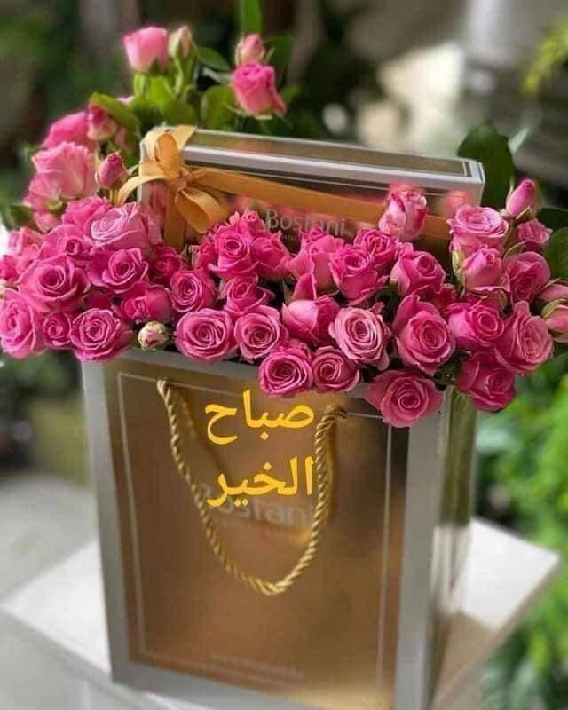 خواطر نسيم لا تب ال ي ب عتم ة أي ام ك ف سوف ت شر ق Facebook