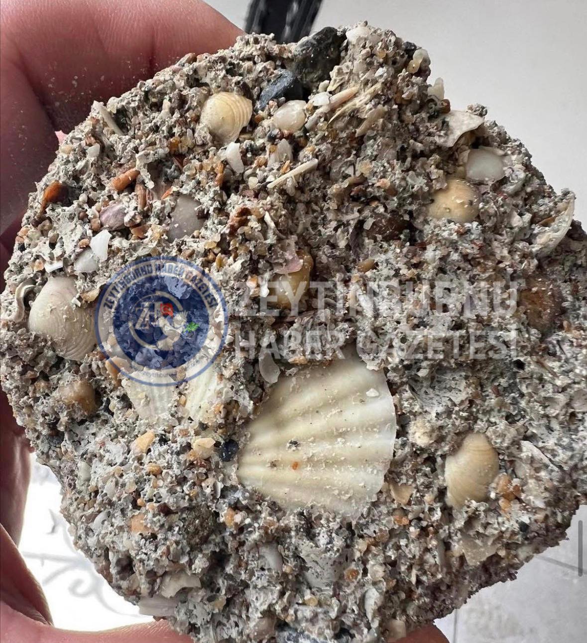 MedMod İnşaat Tekstil Loj.Sanayi Ticaret ithalat ve ihracat Limited Şirketi