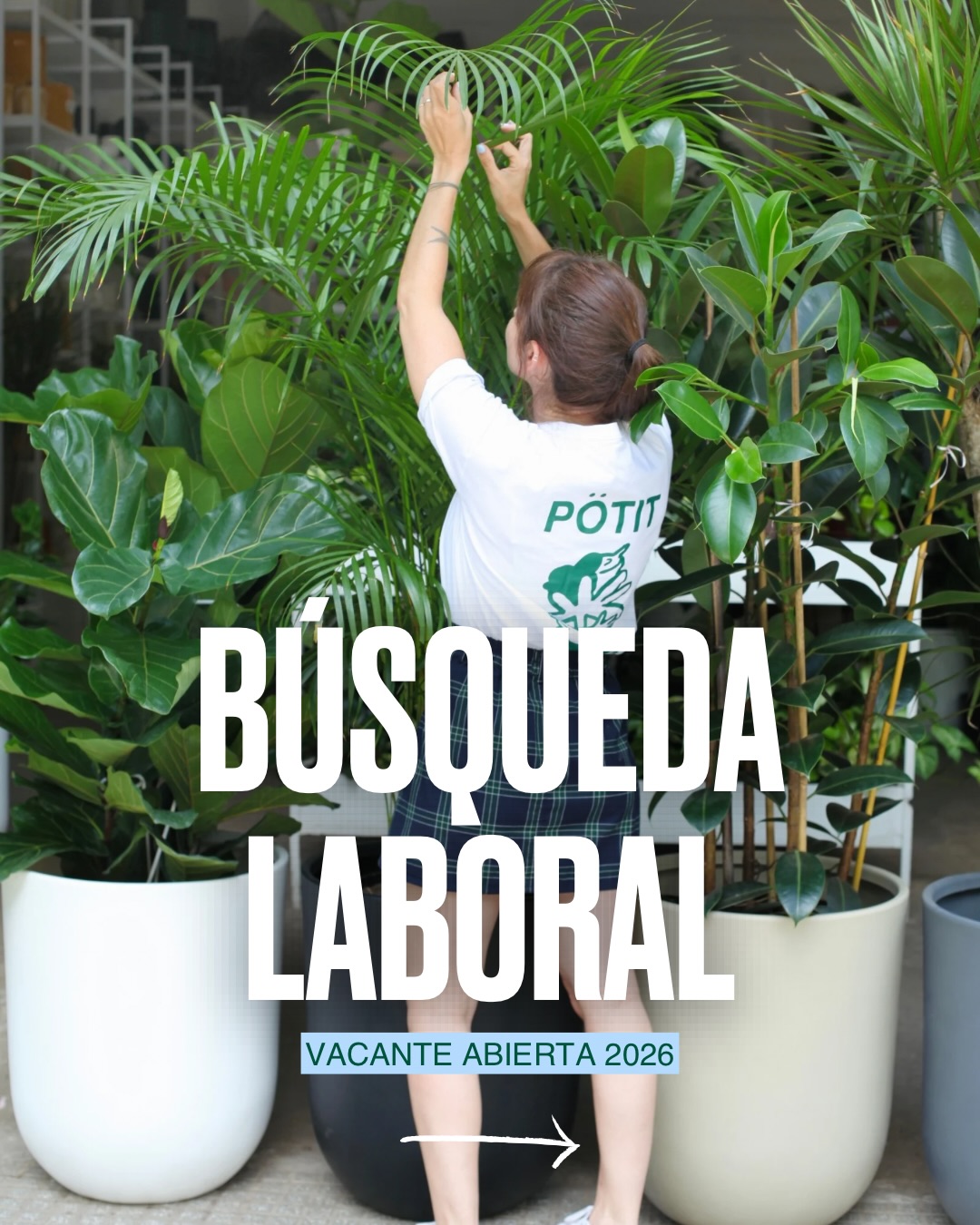 PÖTIT - 🌱 Primera búsqueda laboral del año En POTIT... | Facebook