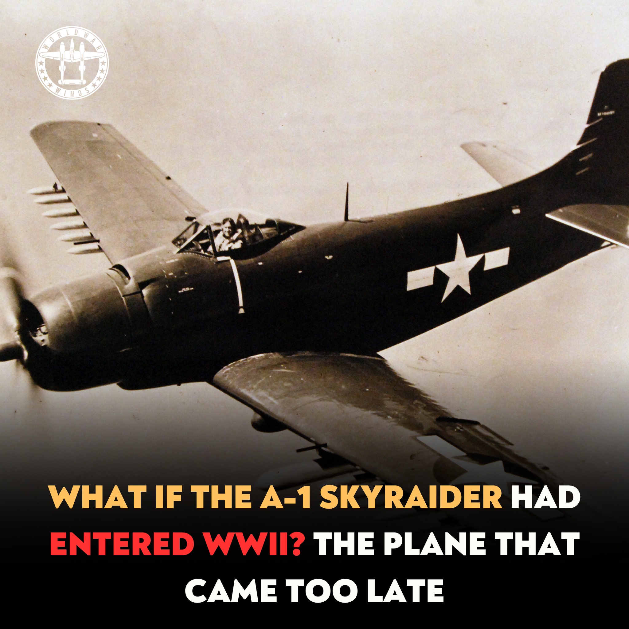 This plane could have rewritten the... - I Love WWII Planes | Facebook
