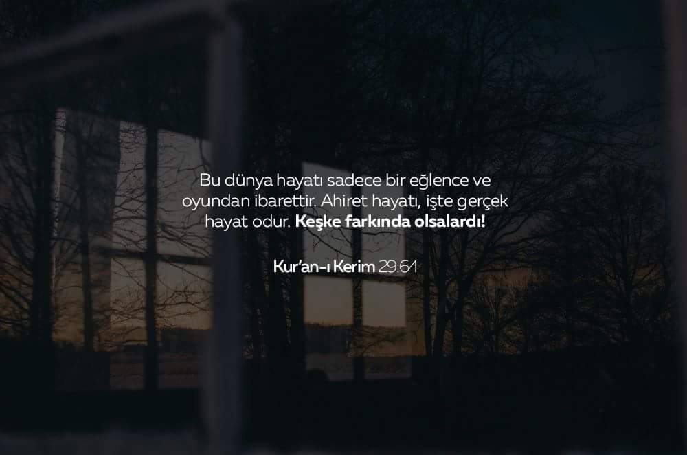 Tut elimden beni çok sev, Kimseye verme Seveceksen ömürlük sev Bir ...