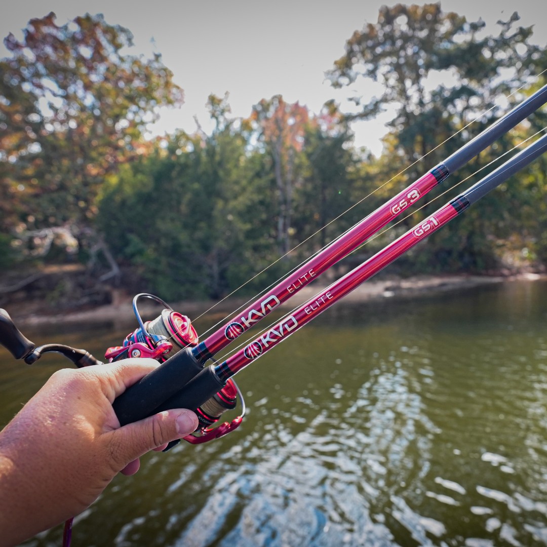 Lew's - Fall bite slowing down? 🍁🎣 The new Lew’s KVD Elite Spinning ...