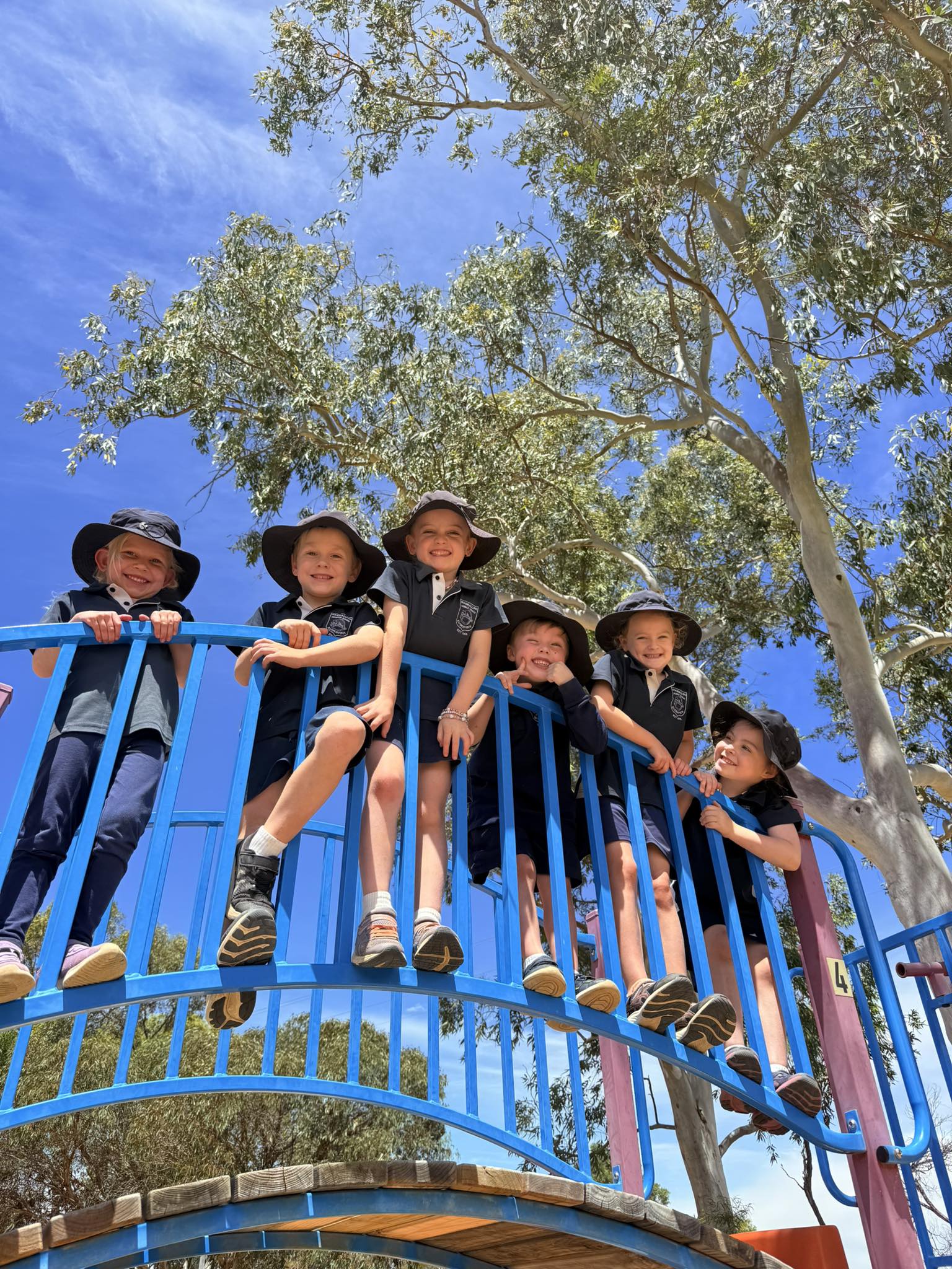 Goomalling Community Garden... - Goomalling Community Garden