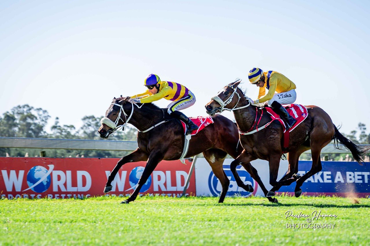 🐎🐎 FRIDAY DOUBLE 🐎🐎 🟣 STAR... - Gavin Smith Racing Stables | Facebook