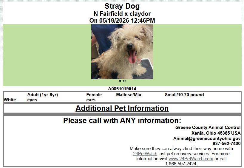 Found in Beavercreek, Do you know me?