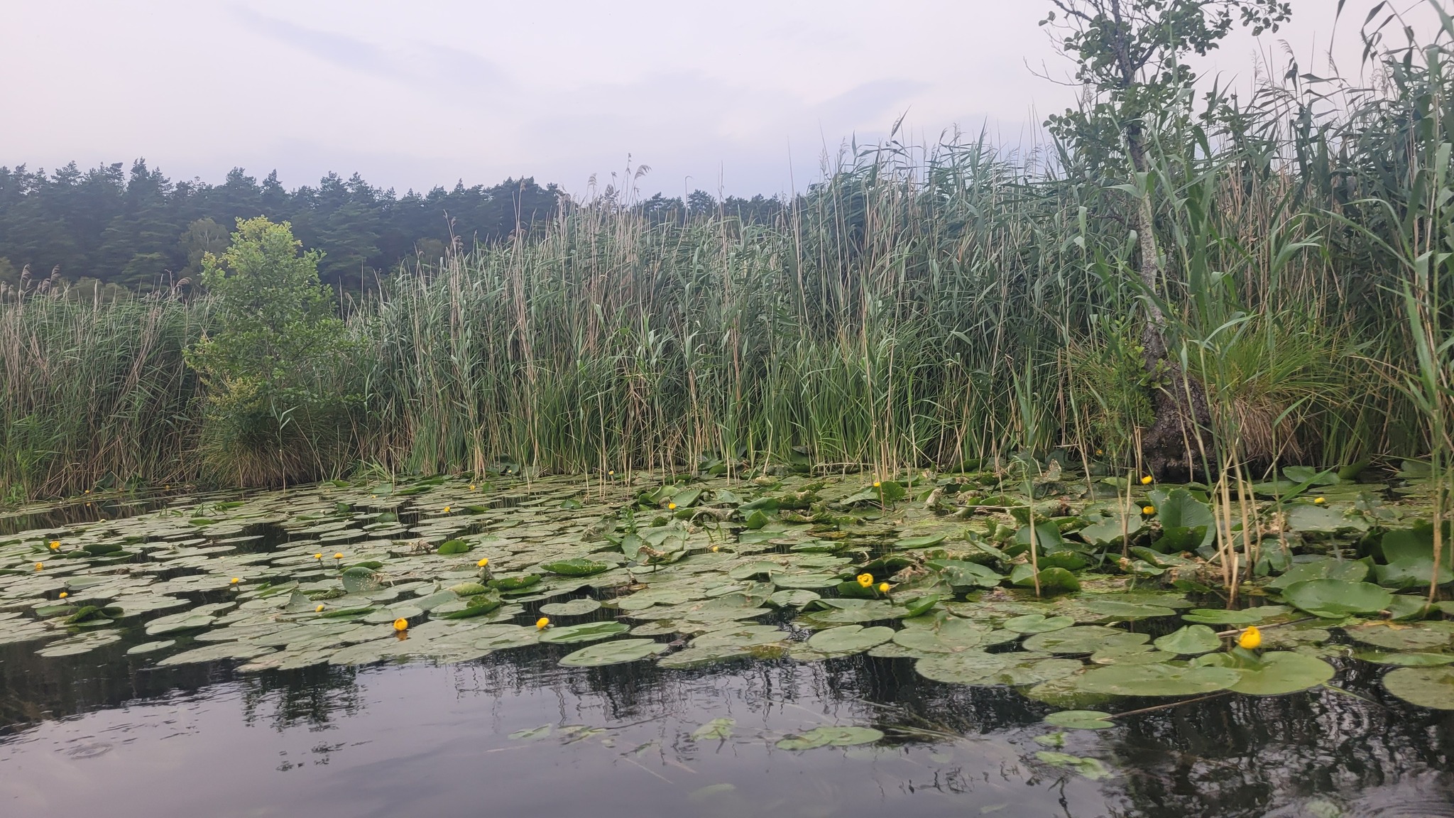 Kolorowe Kajaki Swaderki | Swaderki