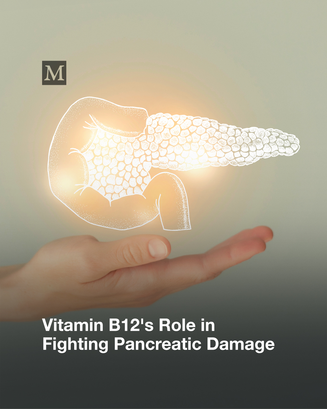Vitamin B12 helps cat gain weight after pancreatitis