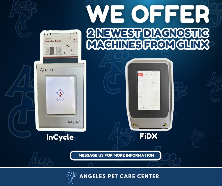 🚨New Diagnostic... - Angeles Pet Care Center - Baguio | Facebook