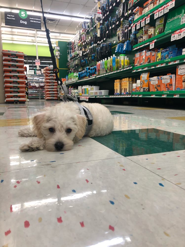 Pet Supplies Plus Bethel Park