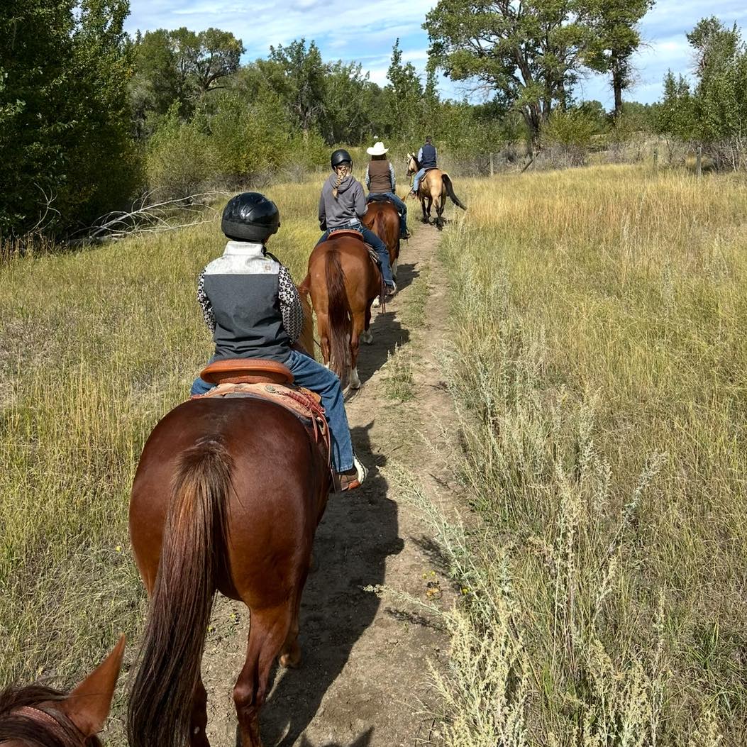 Lethbridge Therapeutic Riding Association