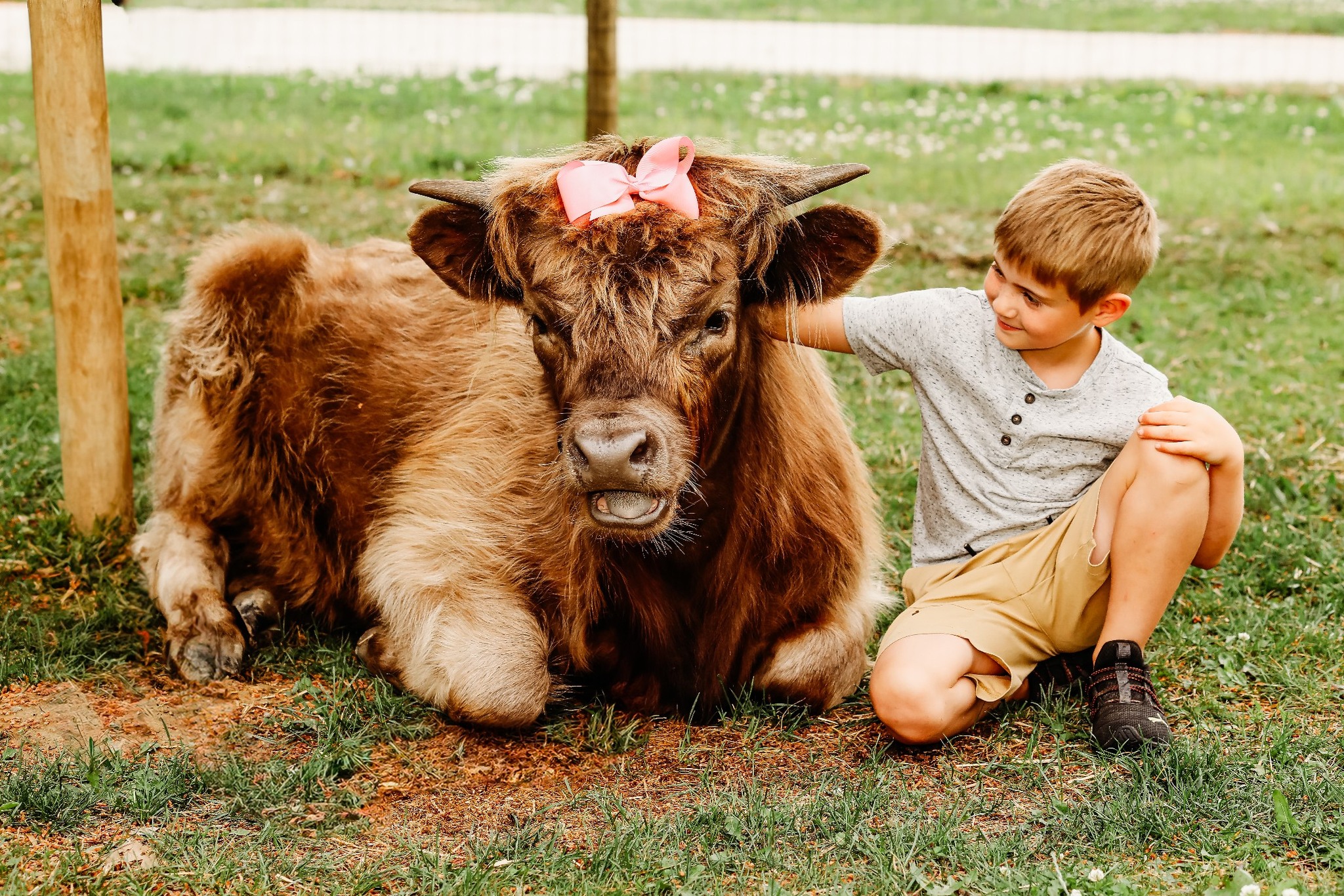 Mini Mitten Acres | Davison MI