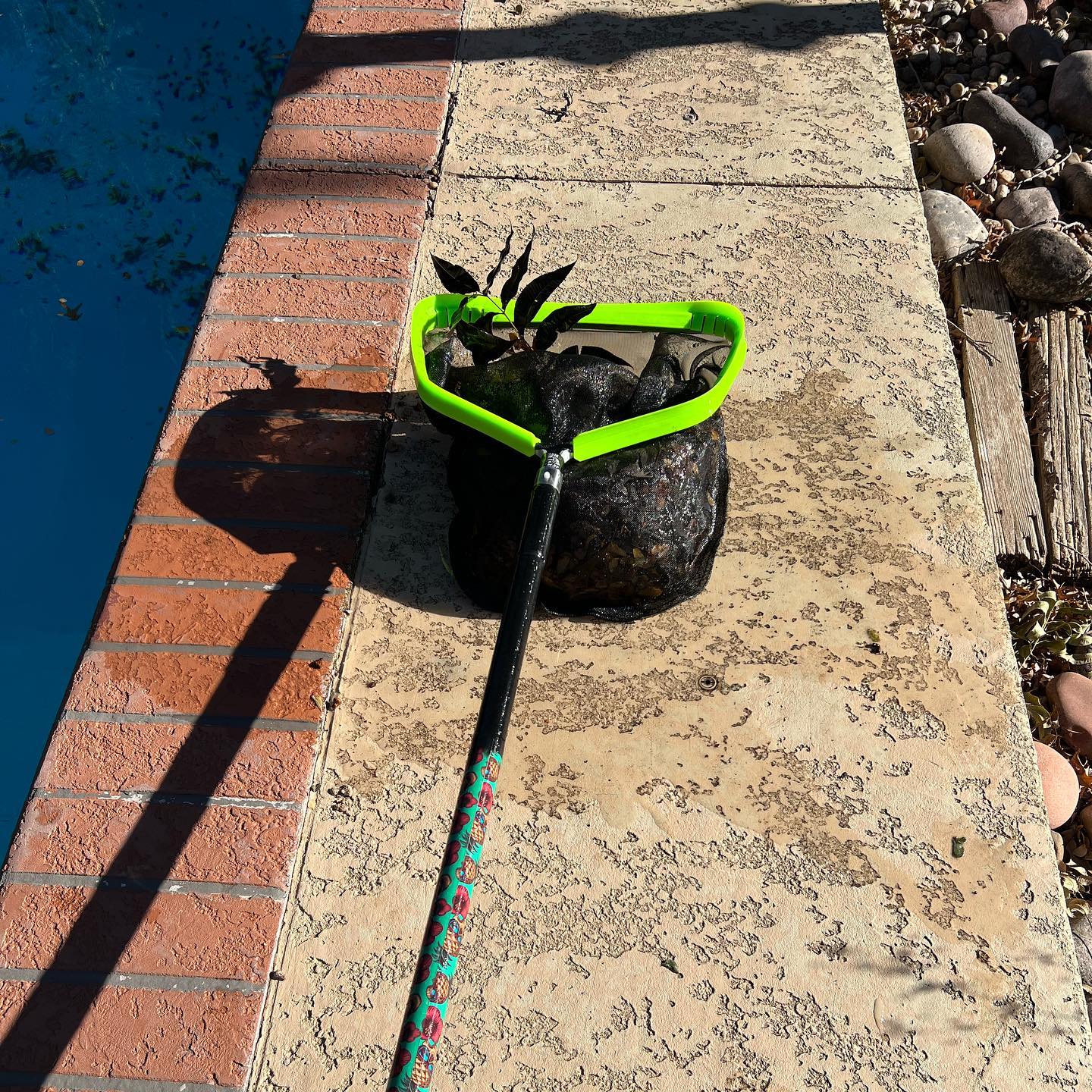 Bomb City Pool Care LLC | Amarillo TX
