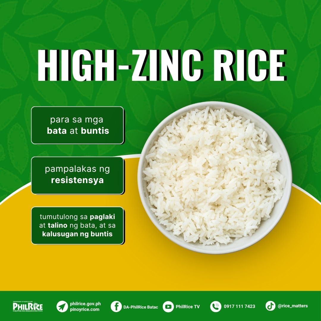 SIMULAN na! Be RICEponsible sa... - DA-PhilRice Batac | Facebook