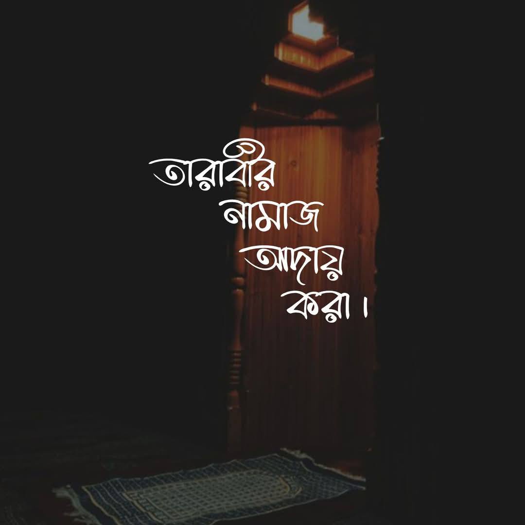 Adnan Ahamed Raj