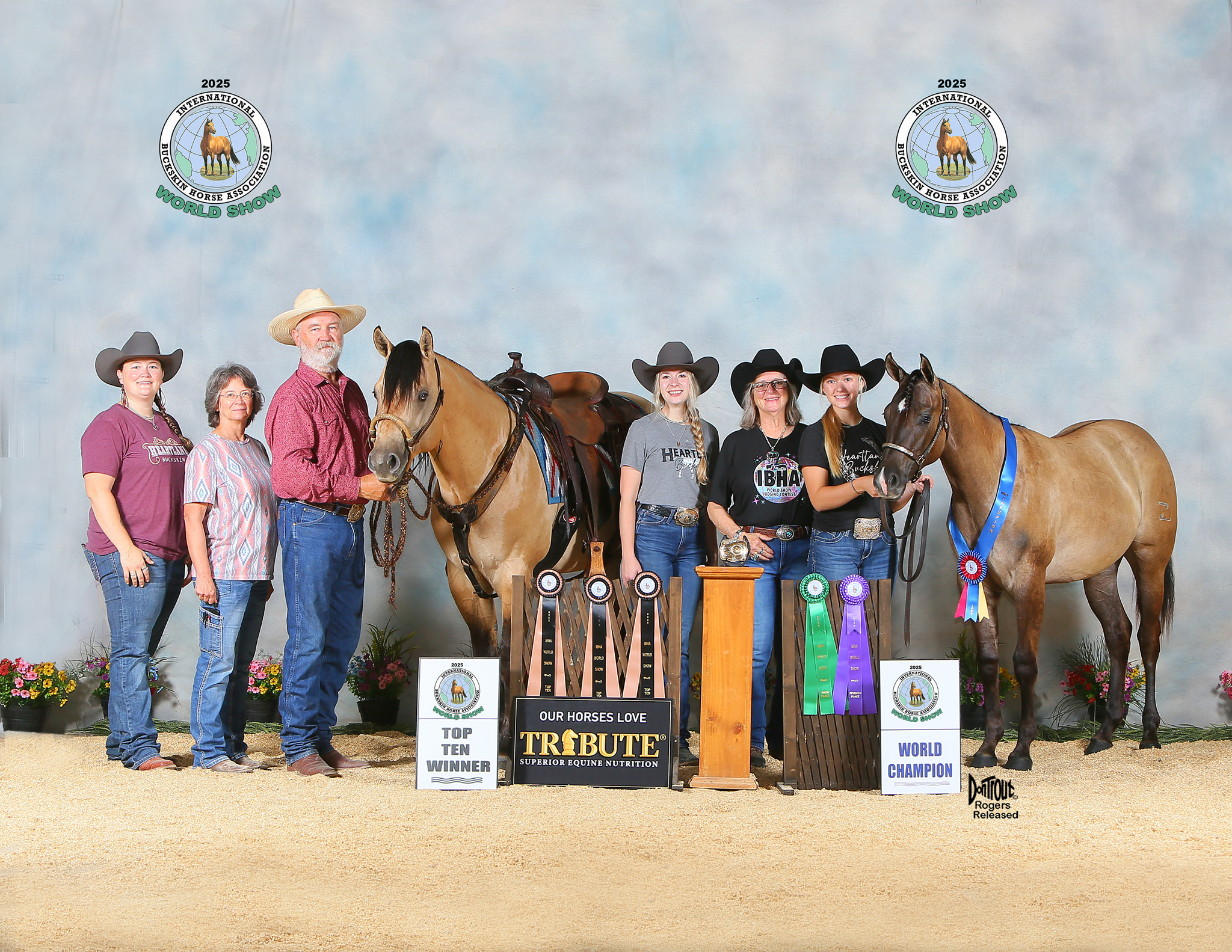 Broken Z Ranch Quarter Horses | Nevada IA