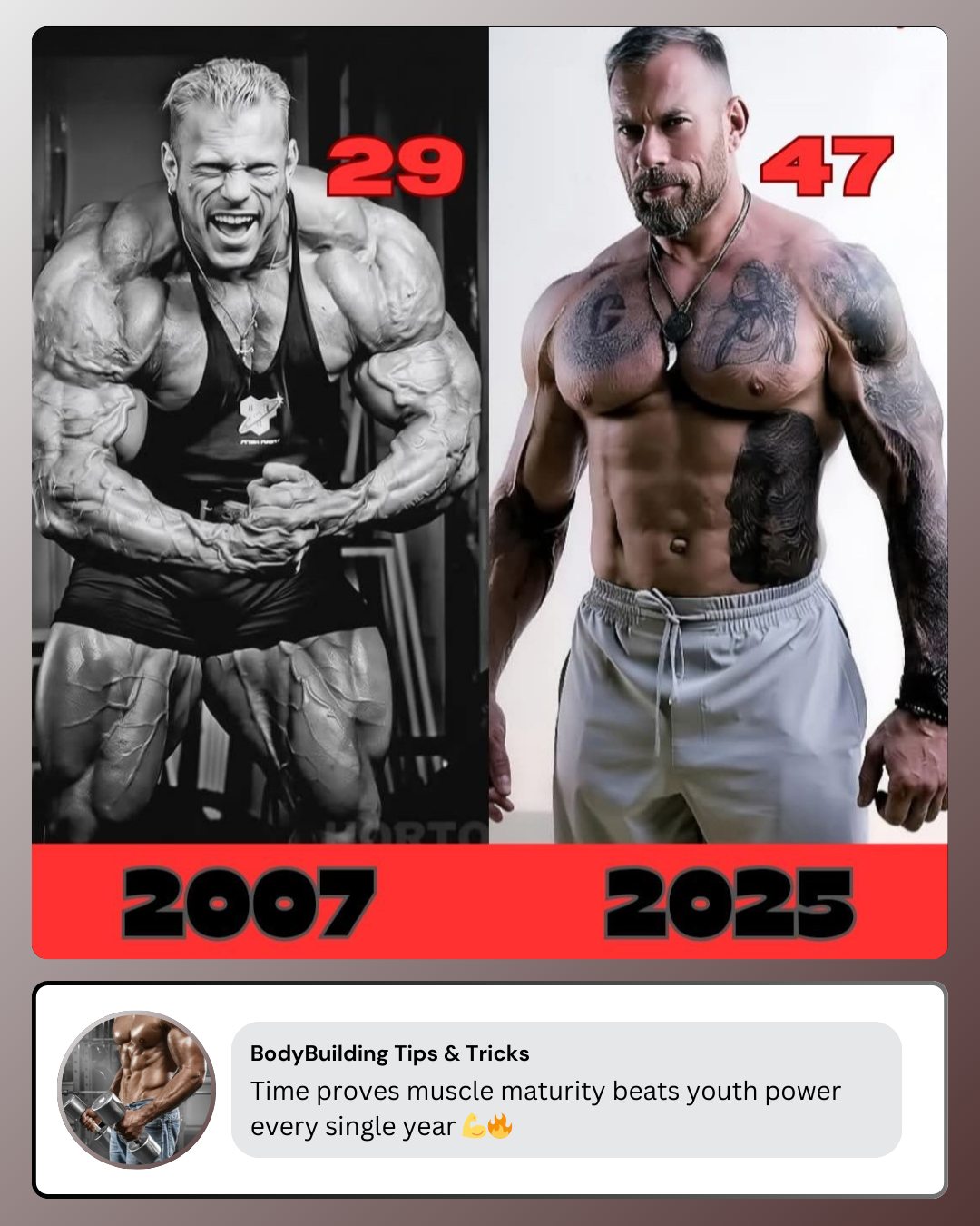 Muscle maturity is a force... - BodyBuilding Tips & Tricks | Facebook