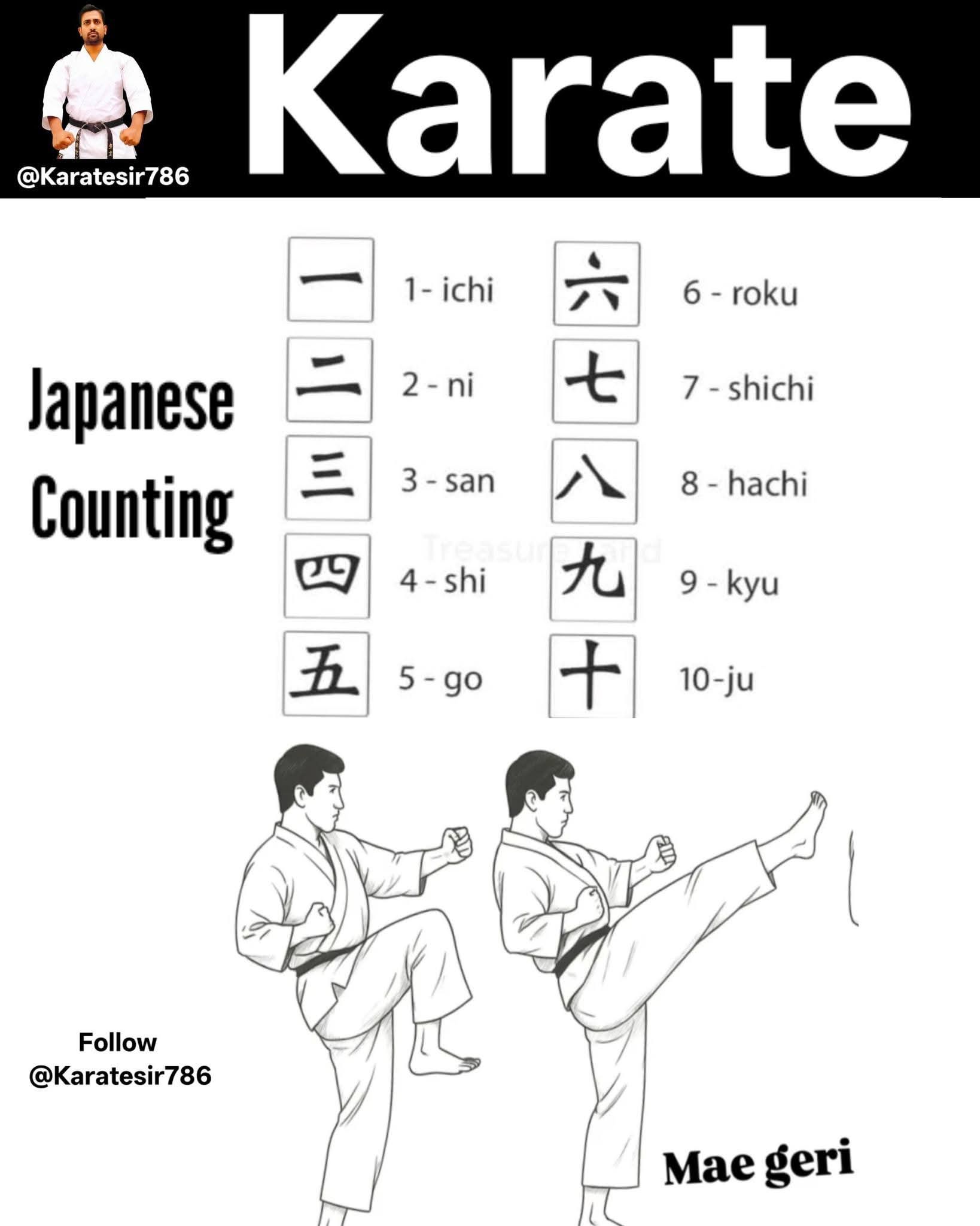 KARATE - The image displays Japanese counting from one to ten using ...