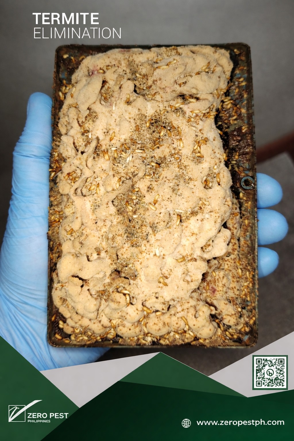 ZERO - WE ONLY USE A TRUSTED MONITORING SYSTEM FOR YOUR TERMITE ...