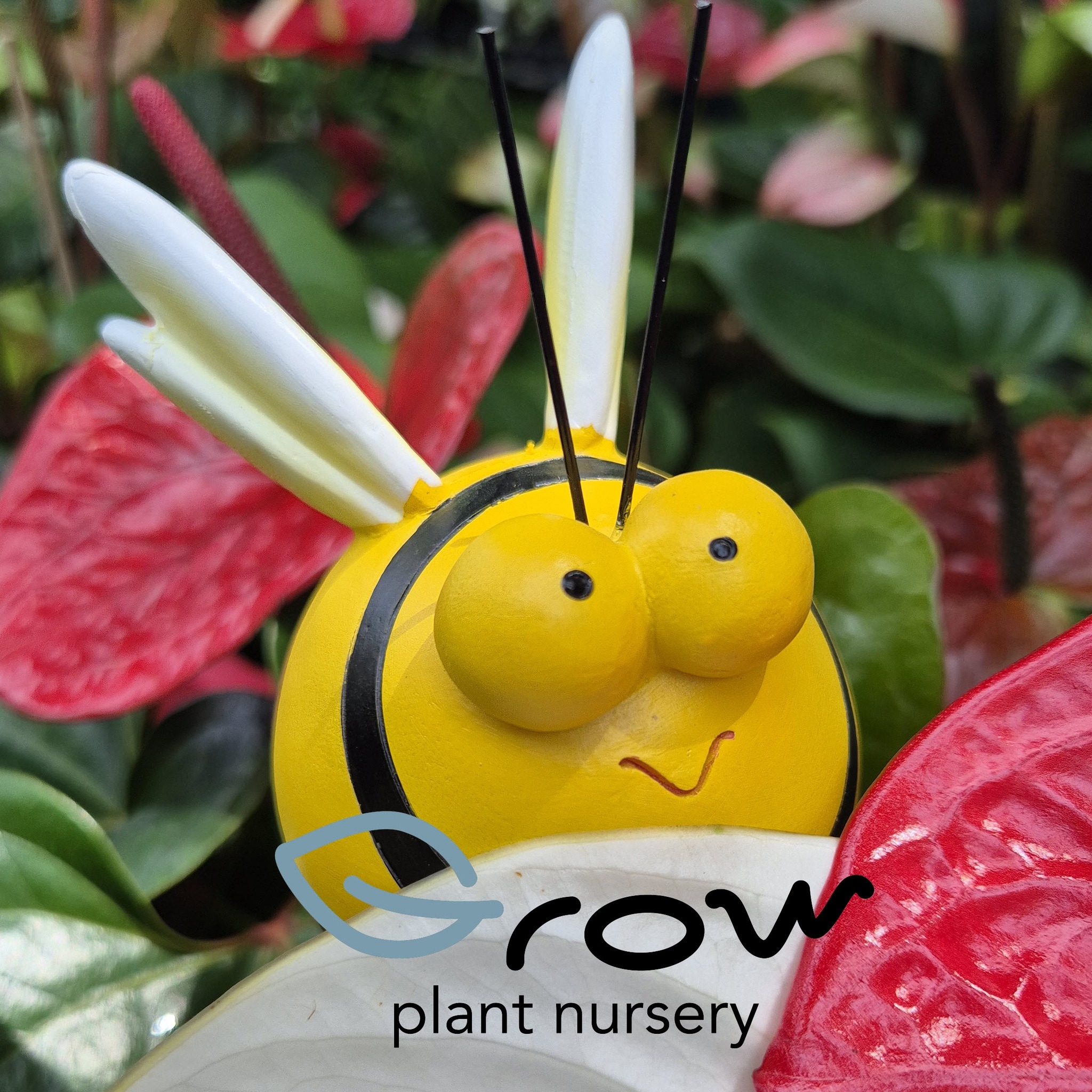 Finally the rain is here !! Perfect time to plant up !! | Grow Plant ...
