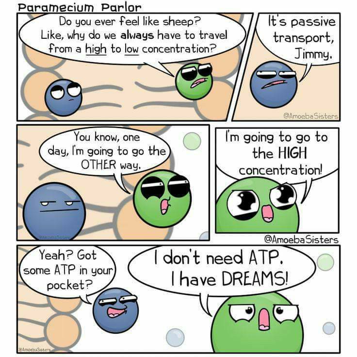 MedicTests.com - Passive transport is the movement of... | Facebook