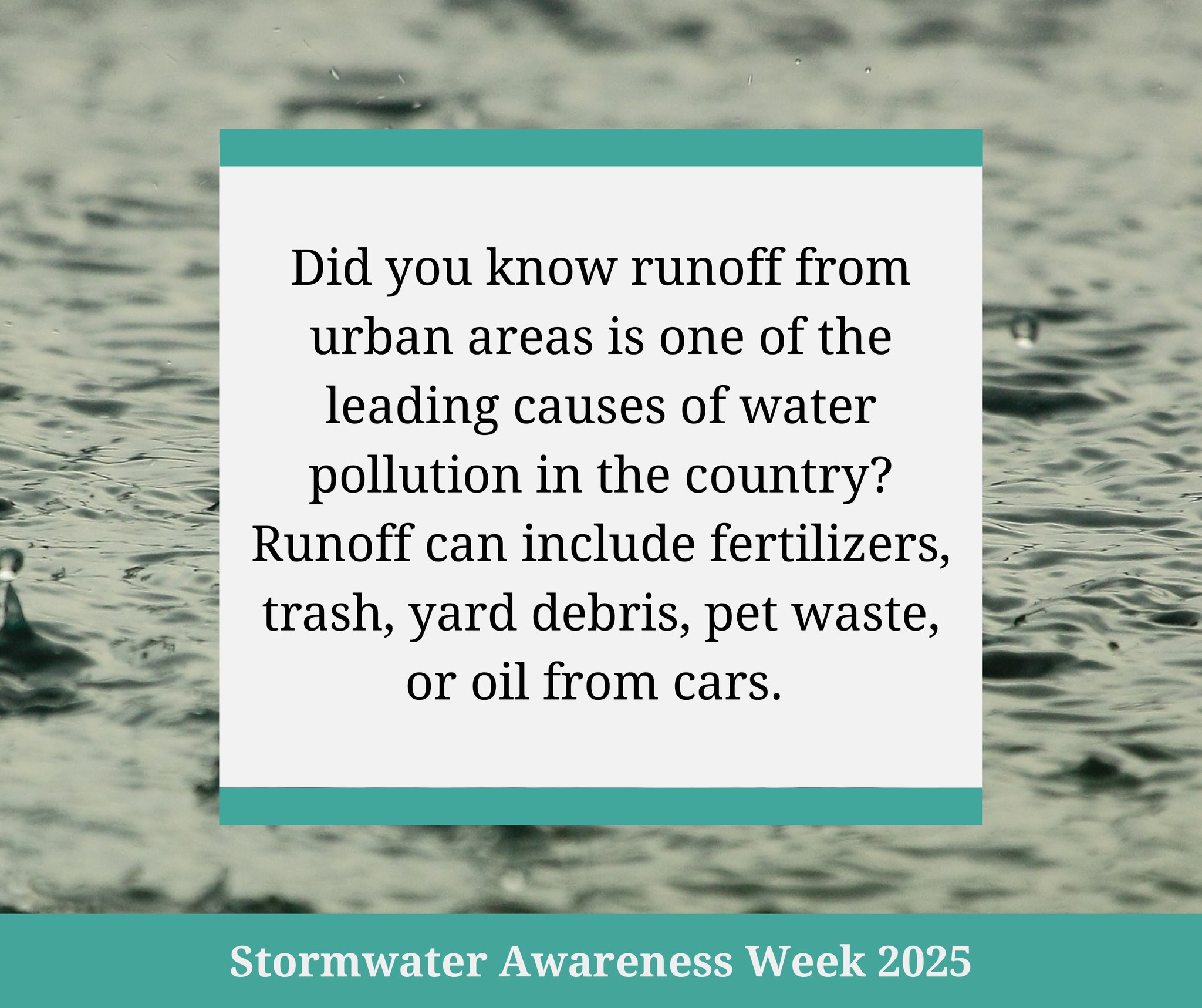 City - 💧🔍 Stormwater Awareness Week: Daily Fun Fact! | Facebook