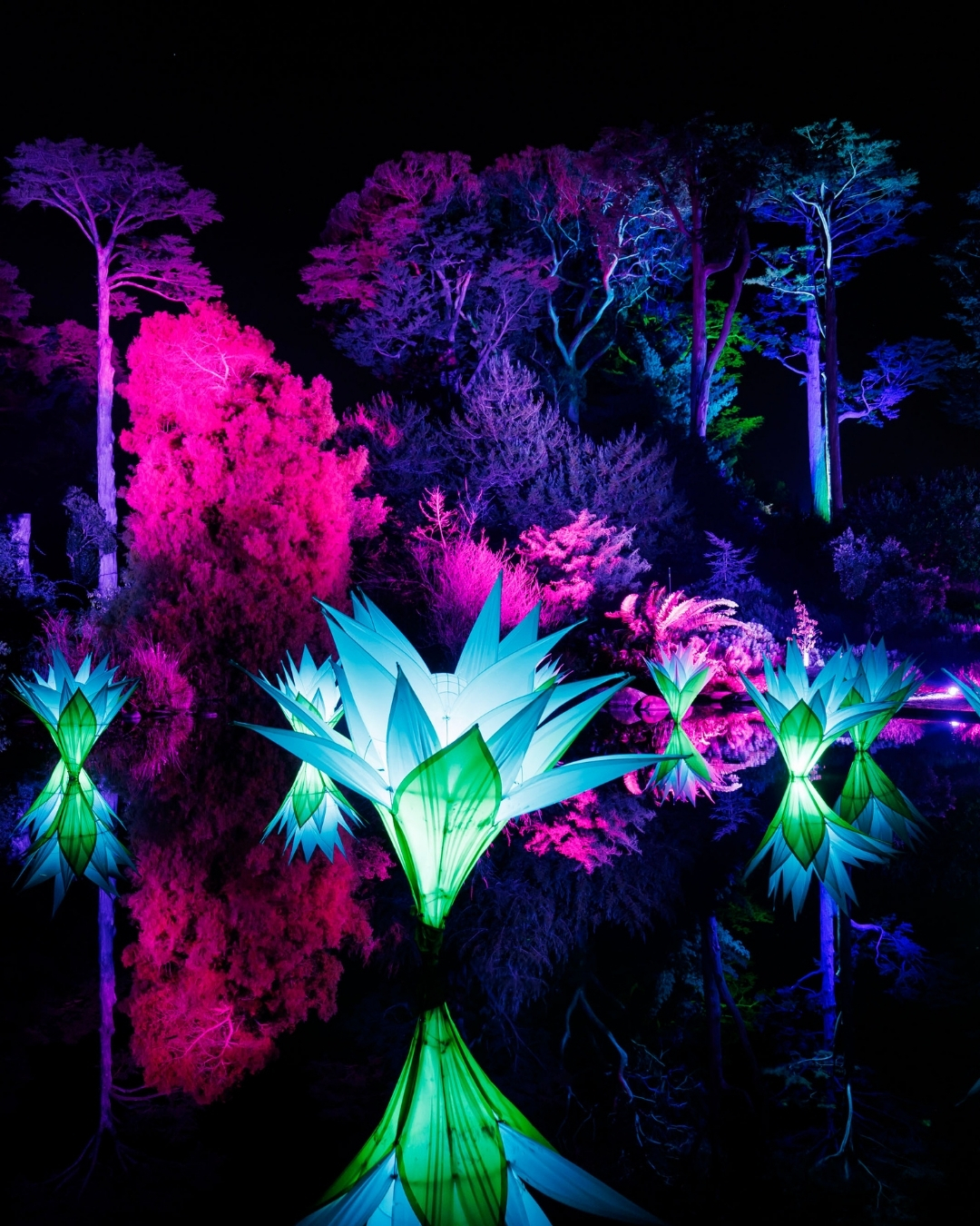 San - New Dates Added for Lightscape! Due to popular demand, two new ...