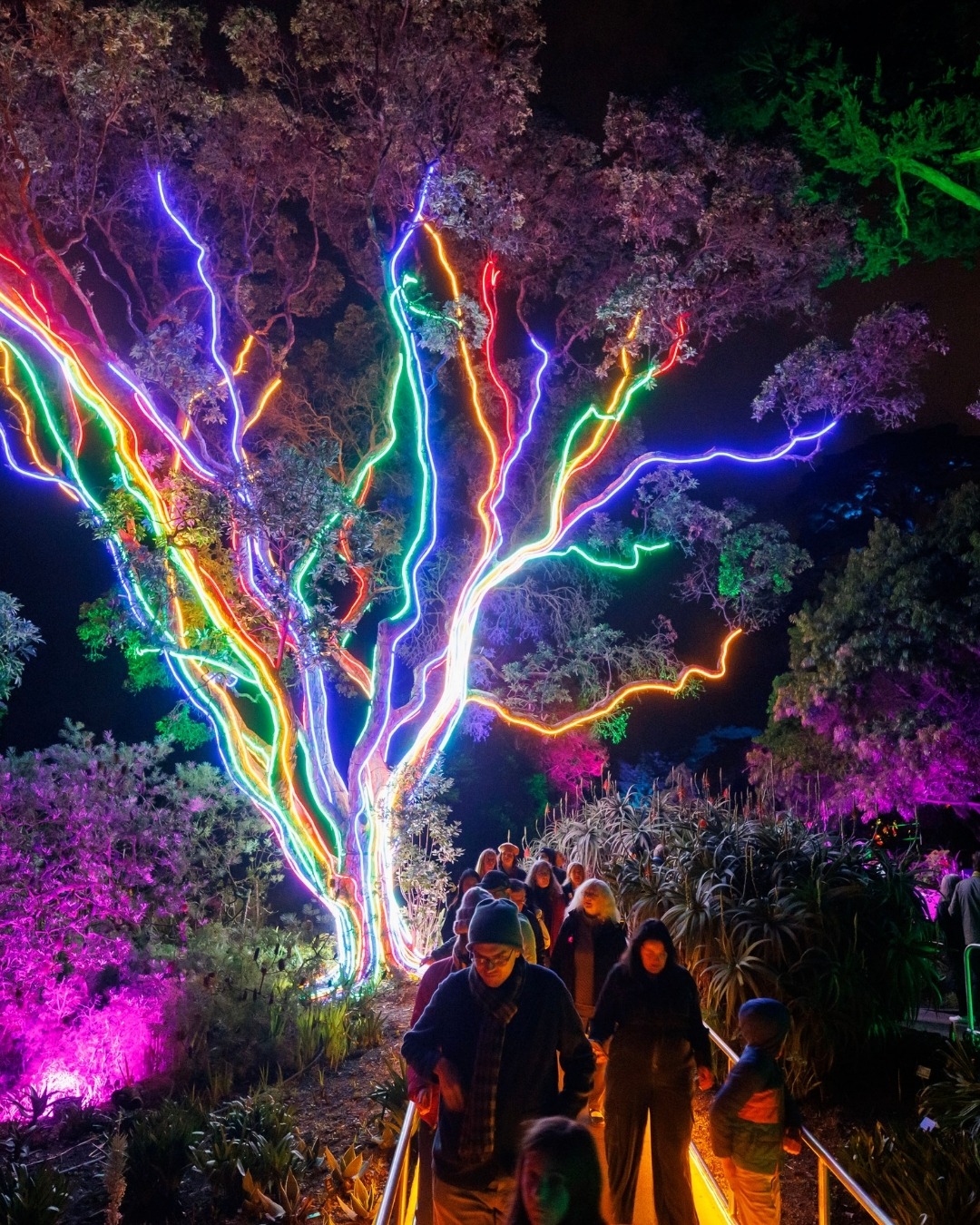 San - New Dates Added for Lightscape! Due to popular demand, two new ...