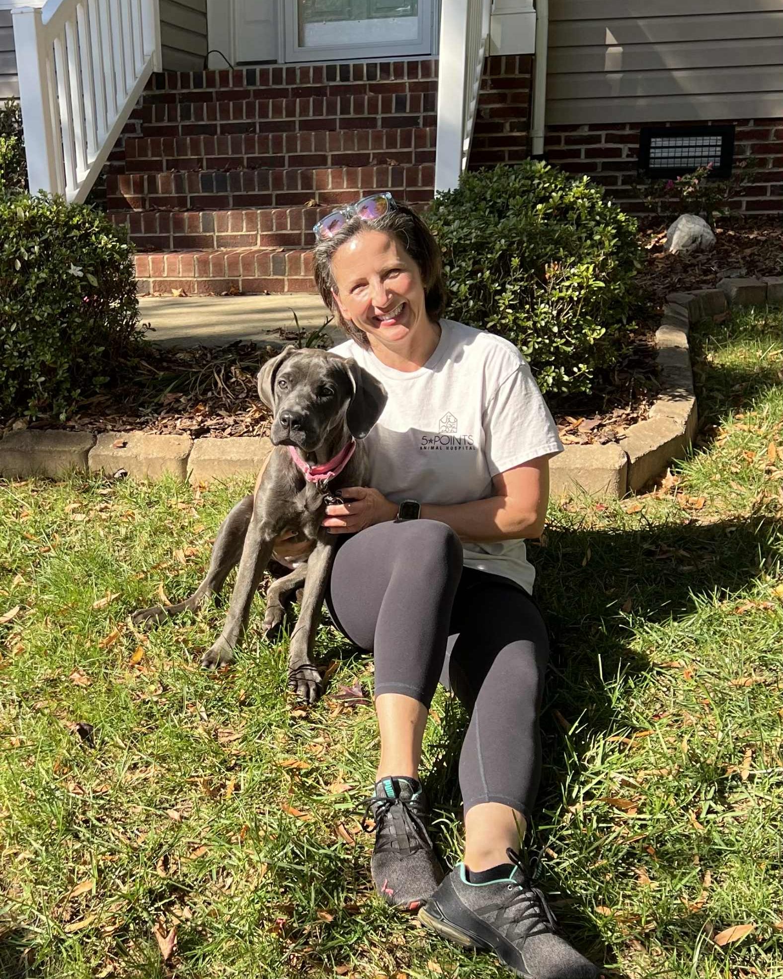 Great Dane Friends of... - Great Dane Friends of Ruff Love