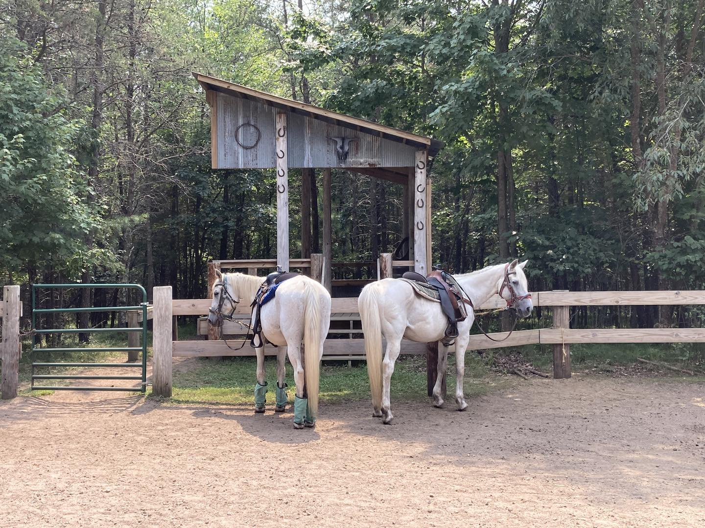 Rock Falls Riding Stable Mini Golf and Go-Karts | Arbor Vitae WI