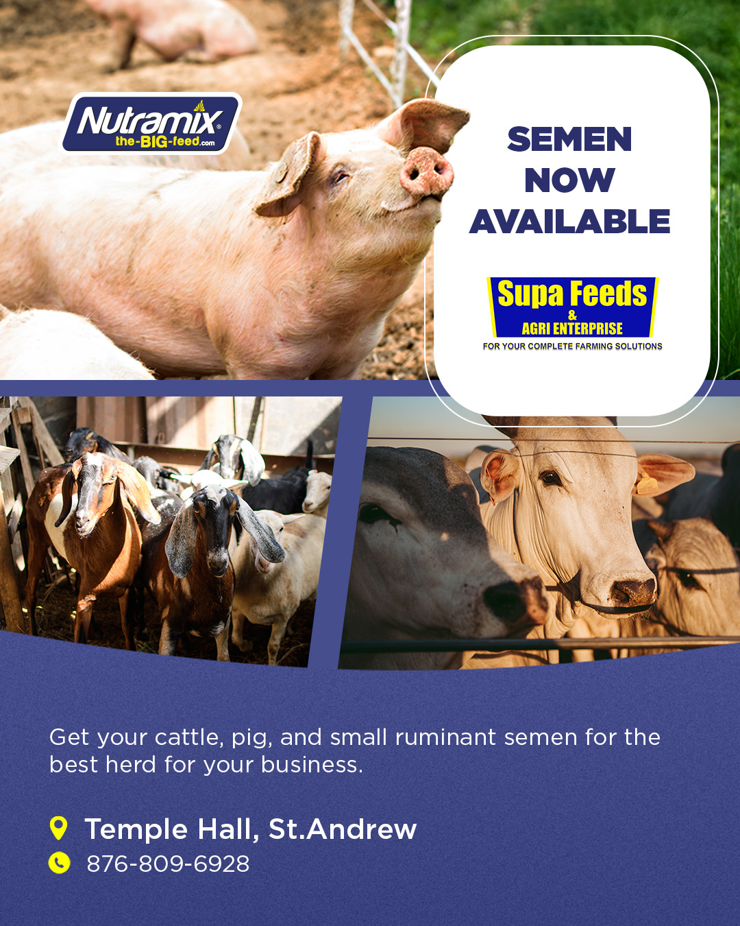 Nutramix - Semen is now available at Supa Feeds & Agri Supplies in ...
