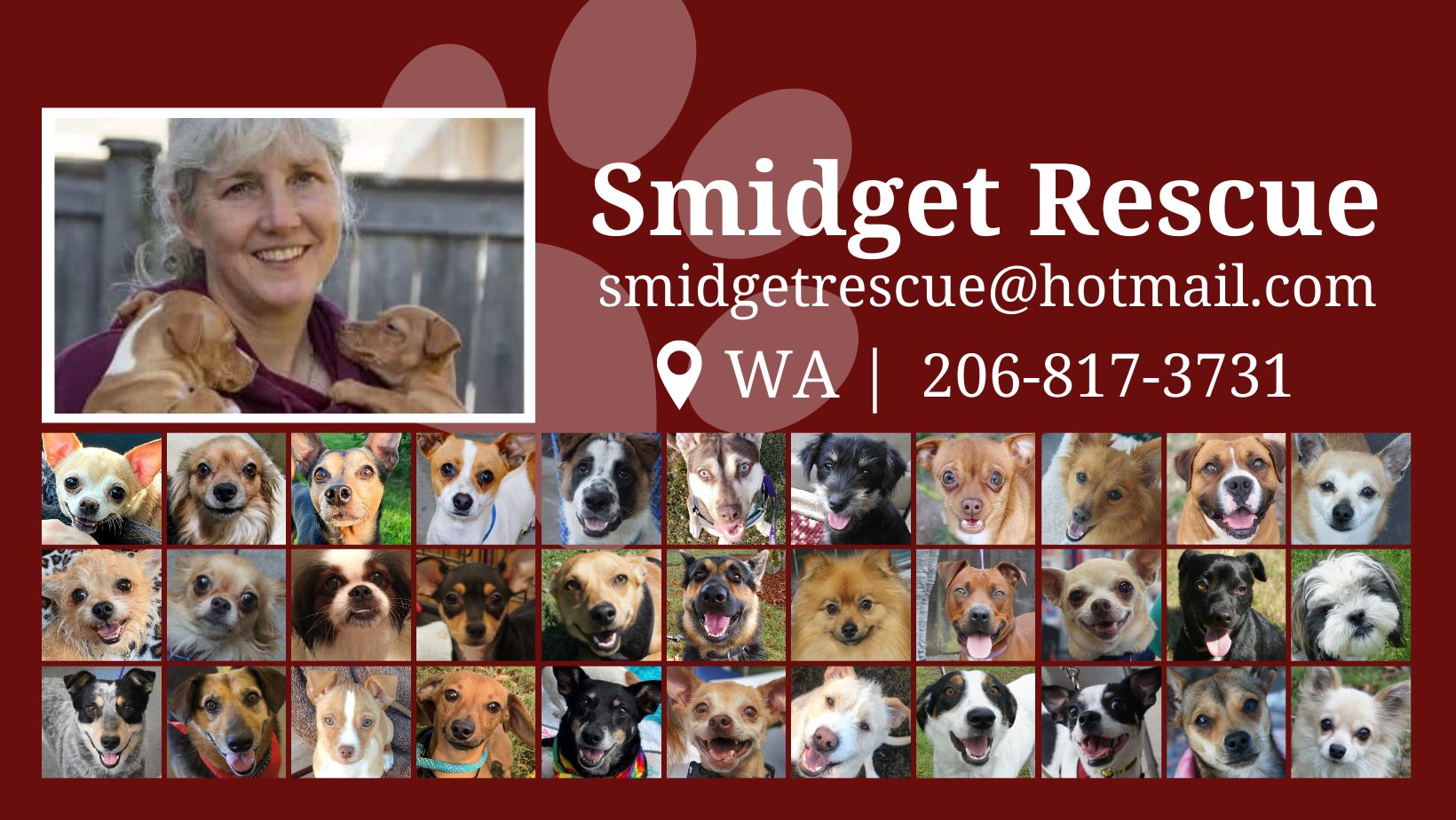 Saving Great Animals -... - Saving Great Animals - Dog Rescue