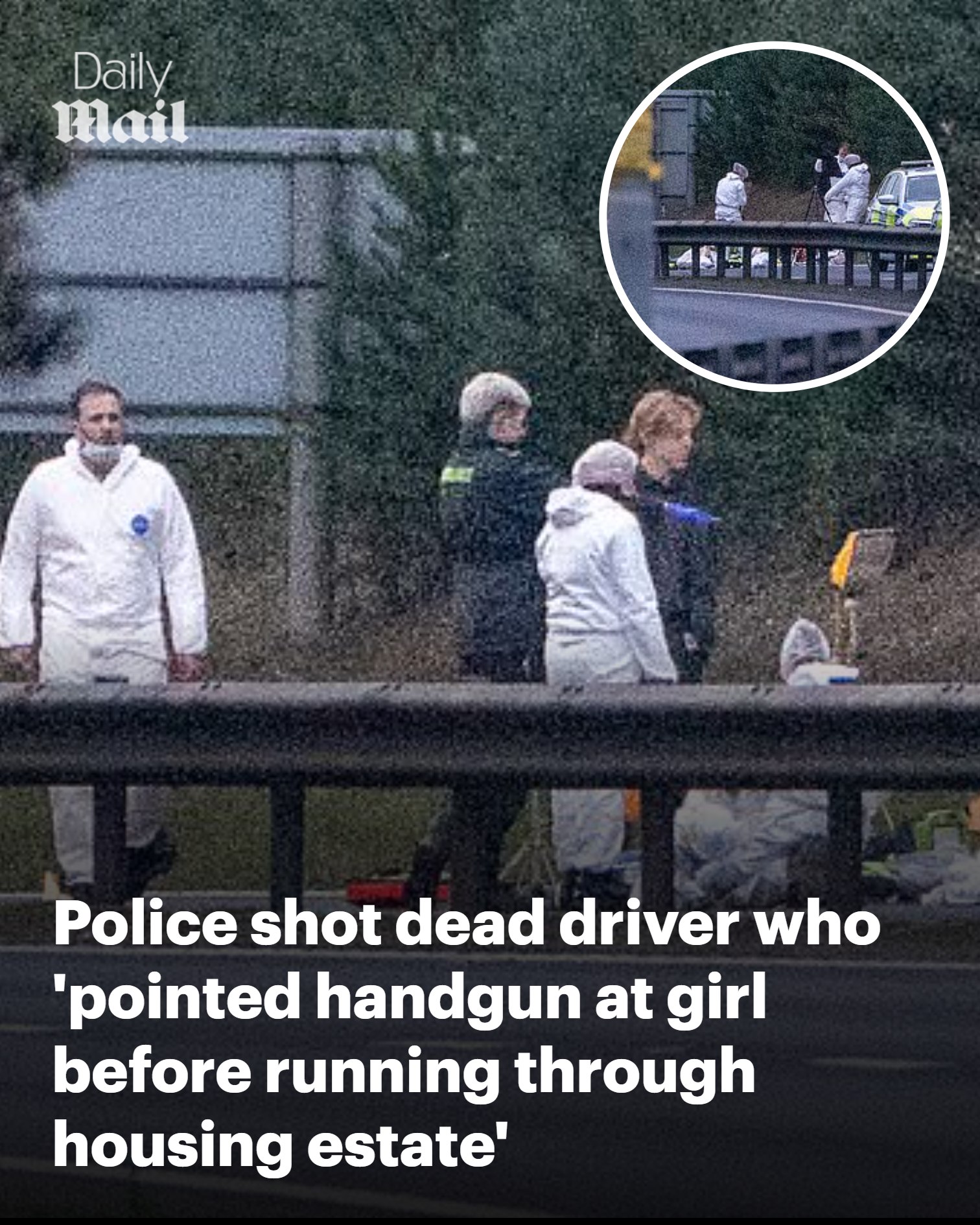 Daily - Armed response officers swooped on the scene. | Facebook