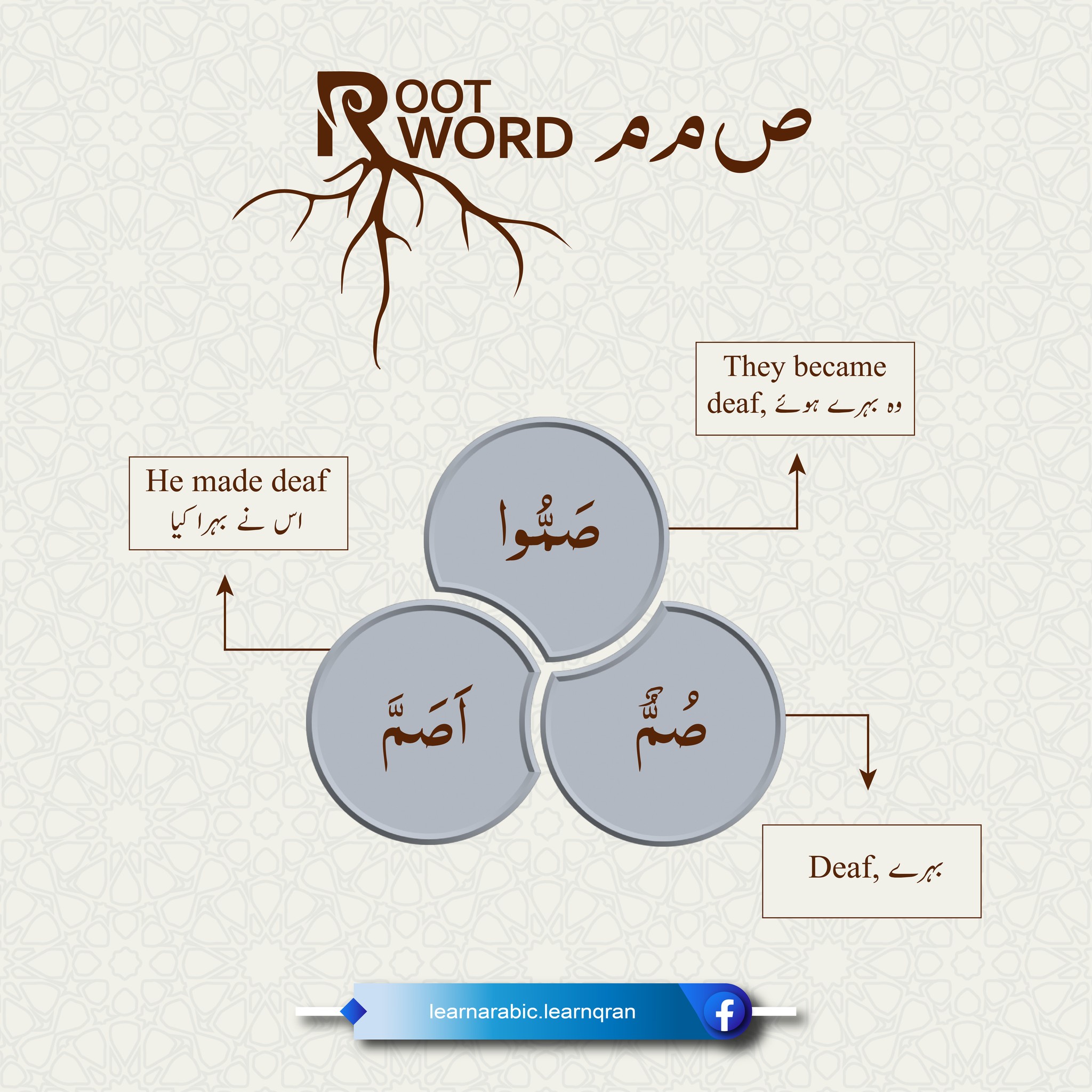 Root Word: ص م م... - Learn Arabic - Learn Quran | Facebook
