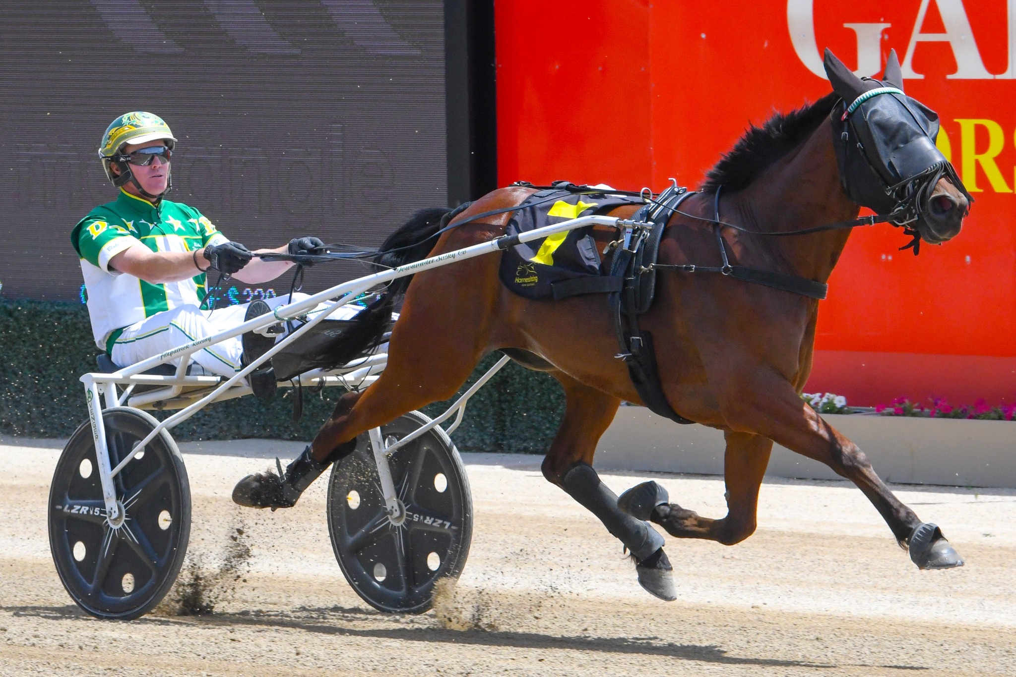 Club - Your Majesty makes it back-to-back wins at Club Menangle.👑🔥 In ...