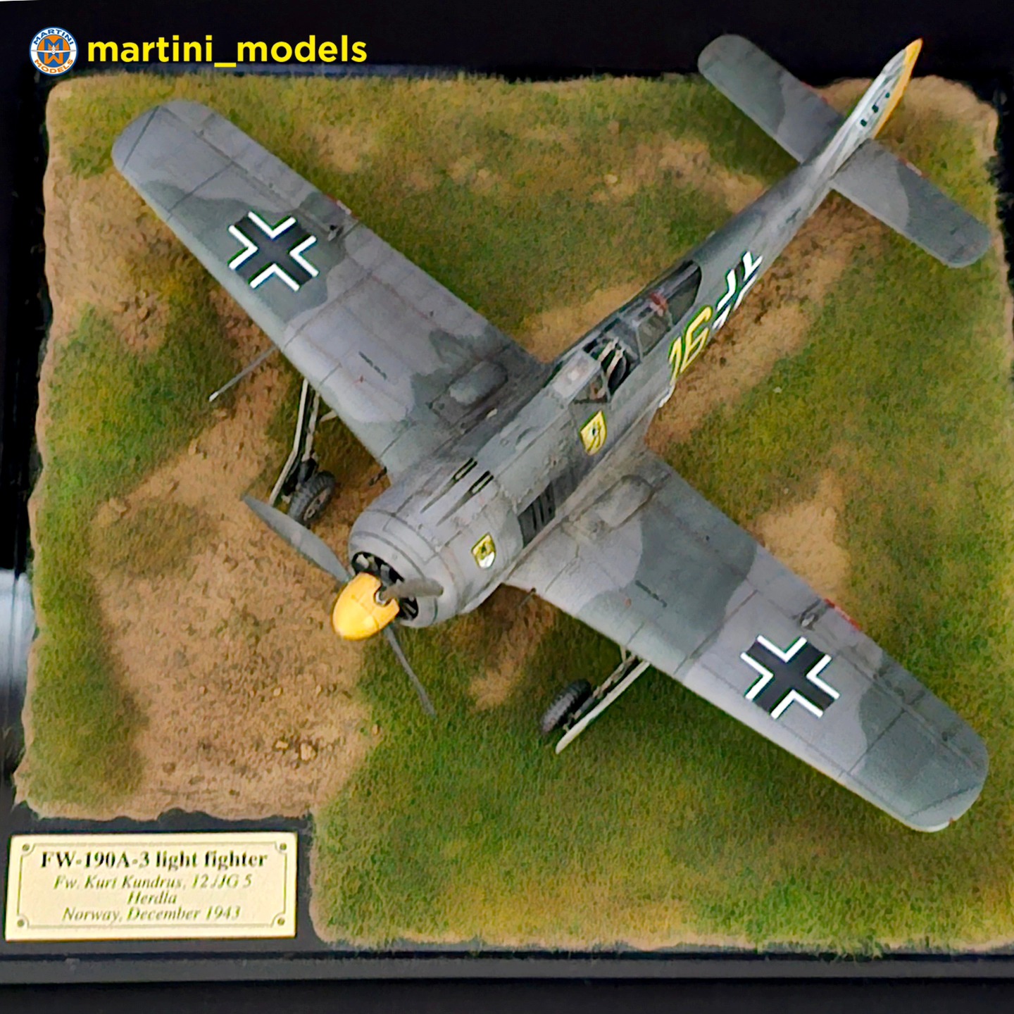 Focke-Wulf FW 190A-5, Eduard 1/72 Grünherz Limited Edition💚