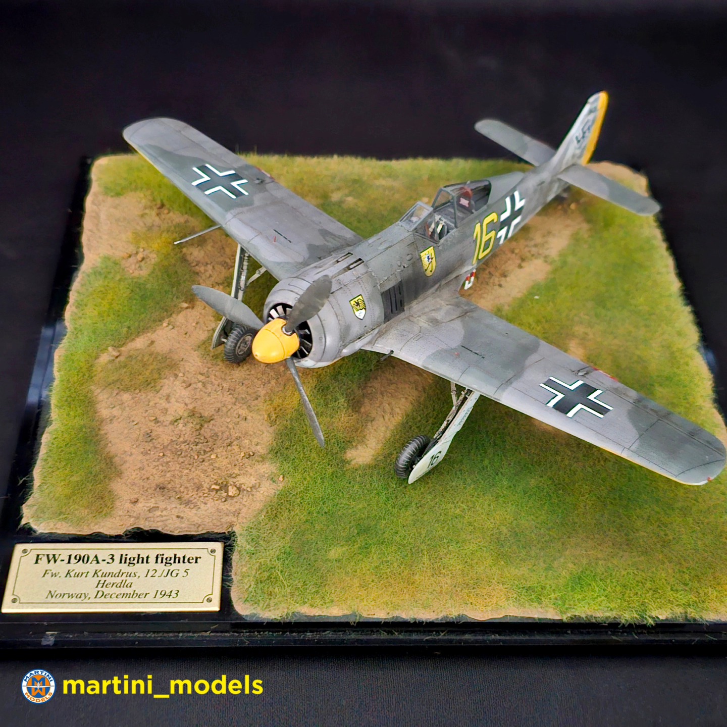 Focke-Wulf FW 190A-5, Eduard 1/72 Grünherz Limited Edition💚