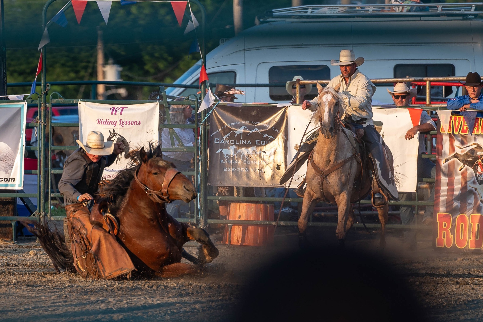 Southern Impressions Photography