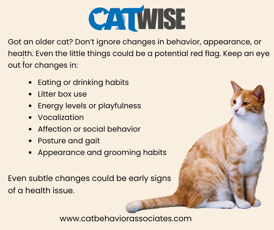 How to Fix Cat Behavior Issues: Expert Tips for Success